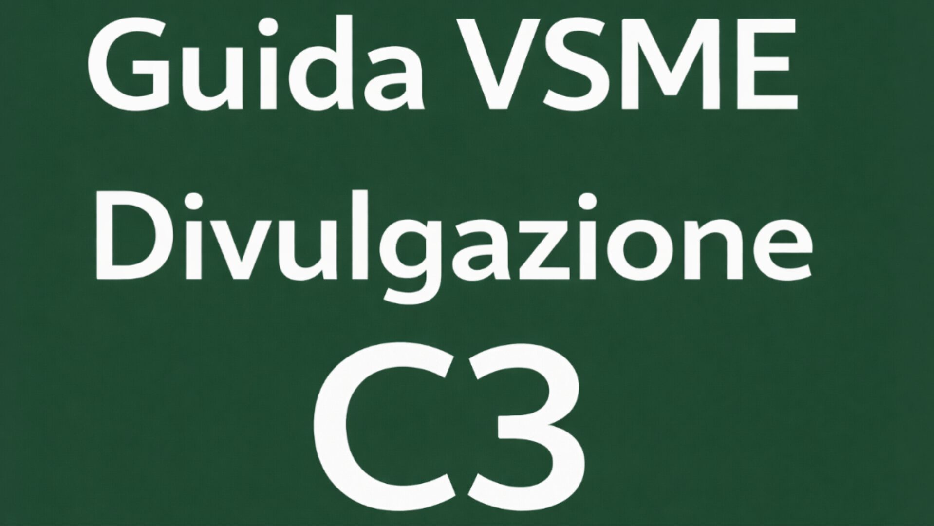 Guida VSME Divulgazione C3